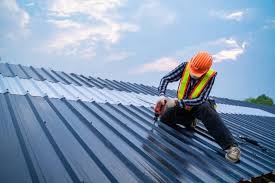 Best Roof Maintenance and Cleaning  in Fall River, WI